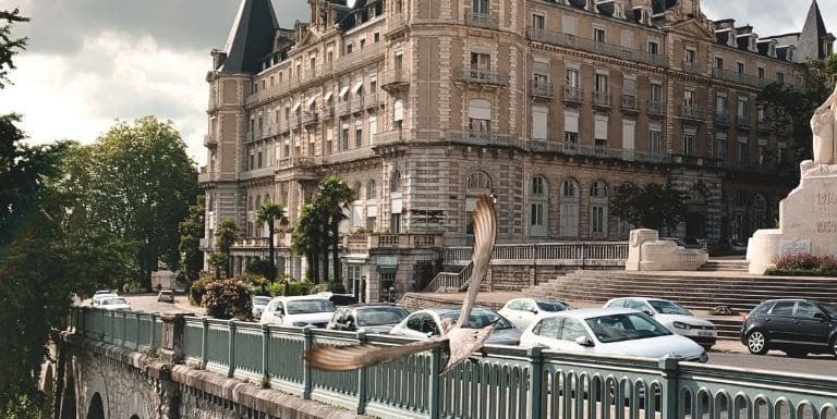 Photo of a shampoo bottle in a woman's hands