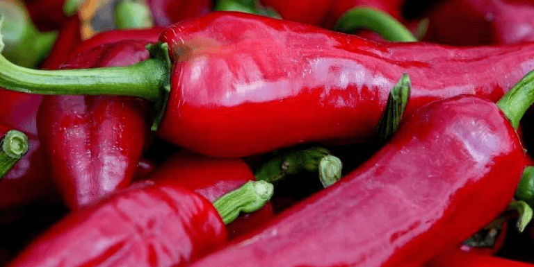 Photo of a shampoo bottle in a woman's hands