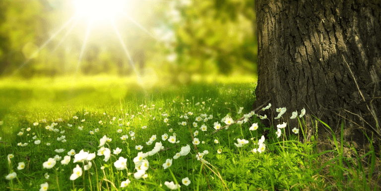 Photo of a shampoo bottle in a woman's hands