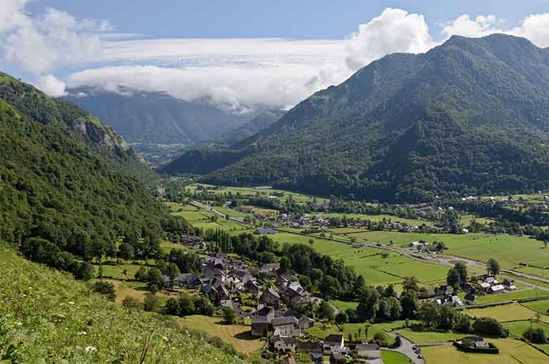 185 Photo of a shampoo bottle in a woman's hands