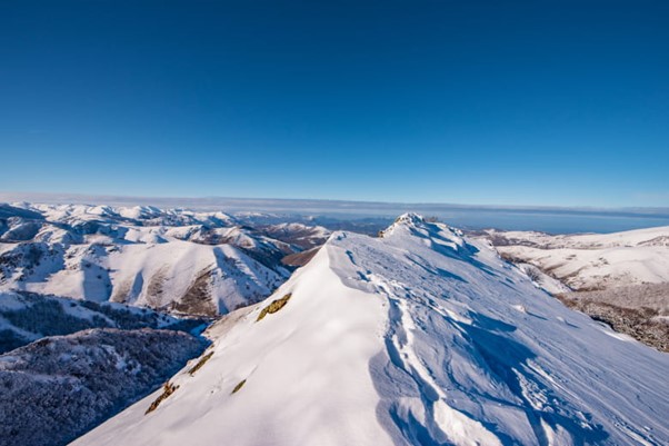 Photo of a shampoo bottle in a woman's hands