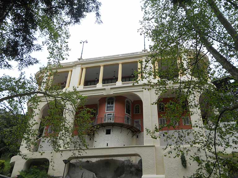 Photo of a shampoo bottle in a woman's hands